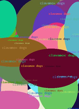 Clavamox dogs